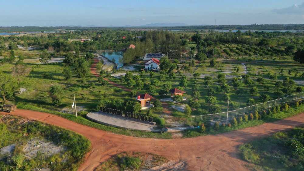 Lahan pascatambang PT Timah yang sebelumnya kosong diubah menjadi area produktif dan fungsional. (timah)