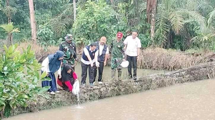 Satgas TMMD ke-125 tebar benih ikan nila di Nagari Sungai Kambut, Kecamatan Pulau Punjung, Kabupaten Dharmasraya, Rabu (30/07/2025). (dokumentasi pribadi)