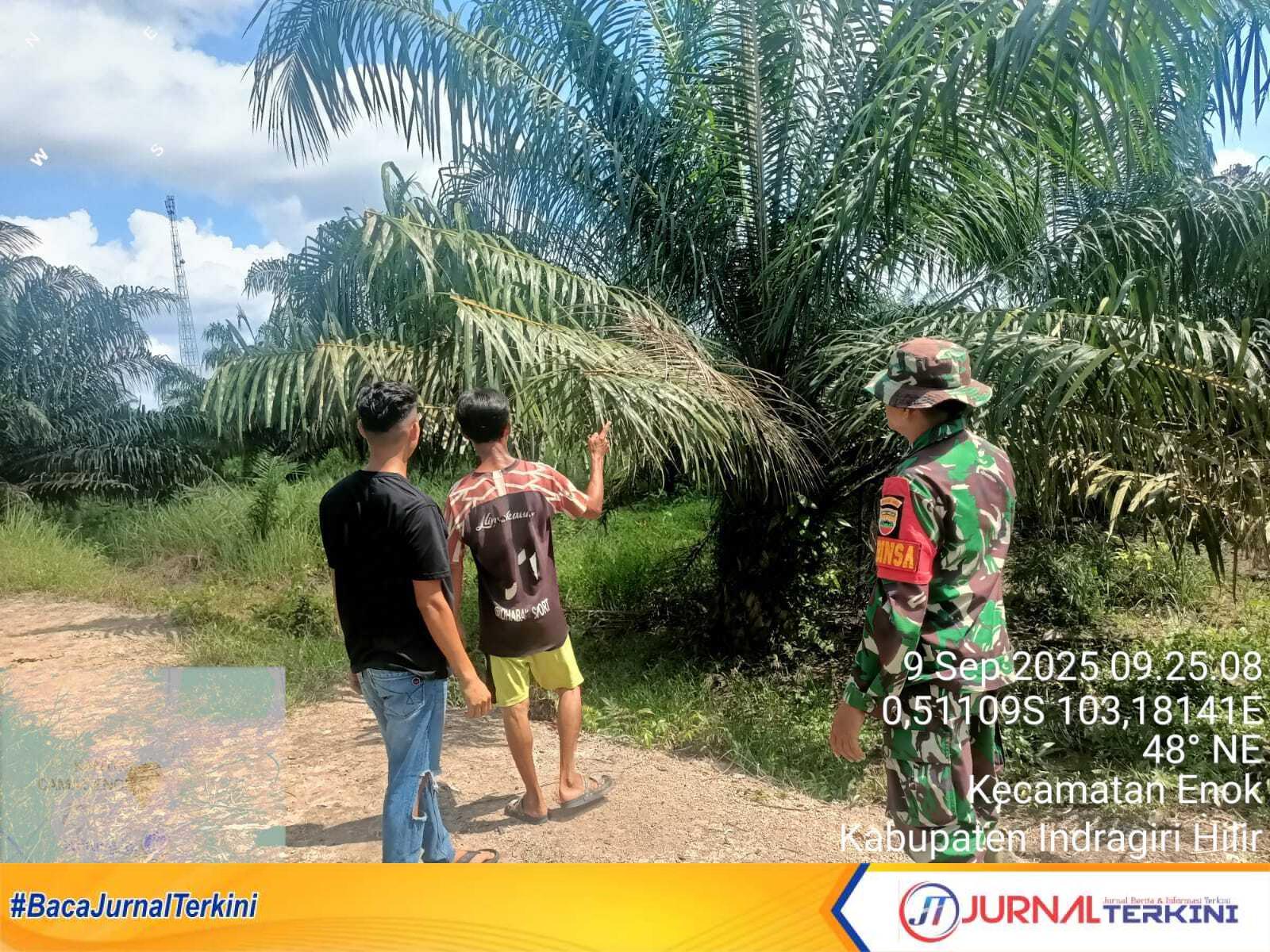 Ket Foto: Anggota Koramil 02/Tanah Merah bersama dengan warga melaksanakan kegiatan patroli karhutla di Kelurahan Pantai Sebrang Makmur, Selasa (9/9/2025).