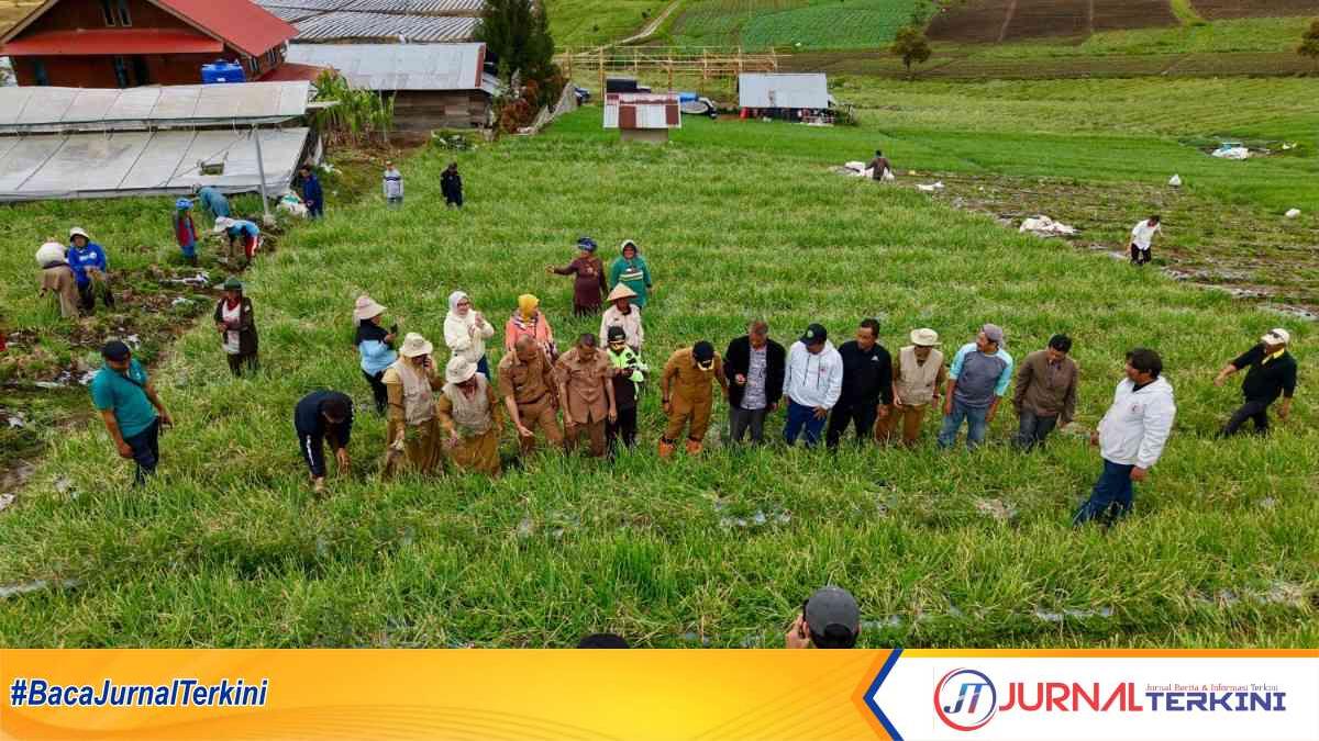 Bupati Solok saat menghadiri panen raya bawang merah di Rimbo Tinggi Alahan Panjang, Kab Solok. (Foto DiskominfokabSolok).