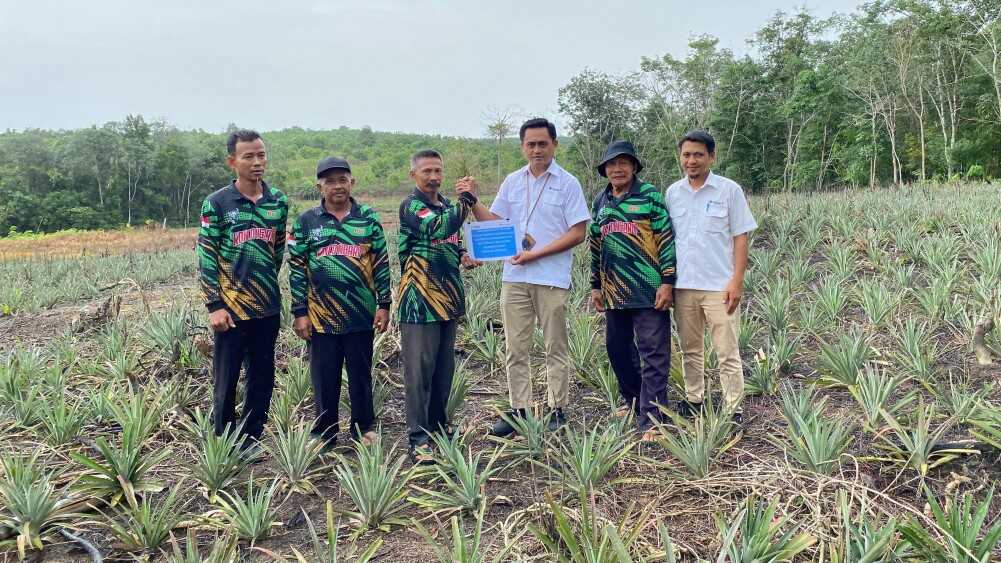 PT Timah Tbk kembali menyalurkan bantuan bibit nanas kepada Kelompok Tani Bina Tani Tailong di Desa Kundur, Kecamatan Kundur Barat, Kabupaten Karimun, Kepulauan Riau. (Timah)