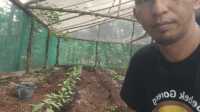 Ket Foto: Kepala Desa Griya Mukti Jaya Indra Setiawan saat di lokasi penanaman cabe di Pekarangan rumah , Selasa (7/10/2025).