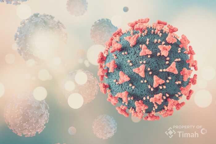 timah bantu pengidap kanker