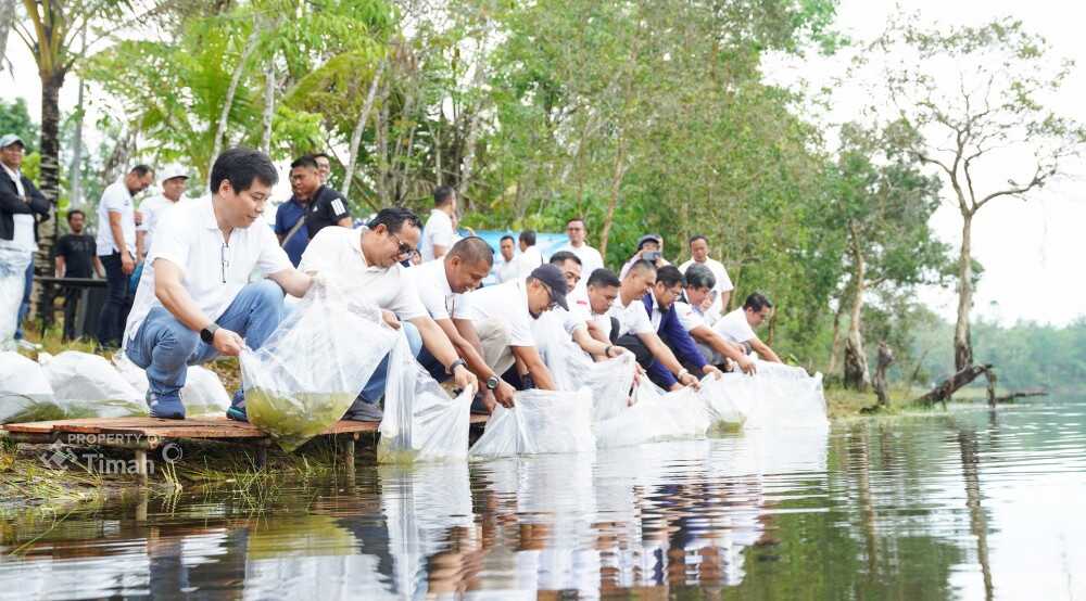 PT Timah Tbk menebar 15.000 bibit ikan nila di enam kolong (void) bekas tambang di Desa Pemali, Kabupaten Bangka, Sabtu (25/10/2025). (Timah)