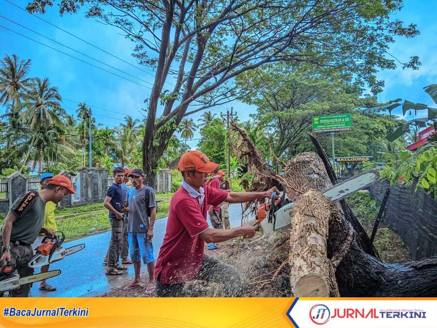 Petugas terkait saat membersihkan pohon tumbang yang menutupi jalan. (Foto Kominfo Padang).