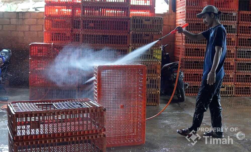 timah-usaha ayam potong PT Timah Tbk menyerahkan mesin steam untuk usaha ayam potong CV Karima Amanah Sejahtera di Kelurahan Tua Tunu, Pangkalpinang. (Timah)