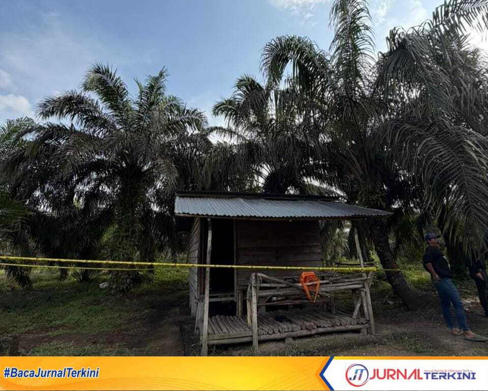 Ket Foto: lokasi penemuan dugaan pembubuhan di pondok kebun sawit di desa Pancur, kecamatan Keritang, kabupaten Indragiri Hilir