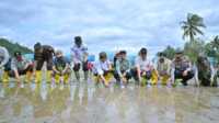 result_IMG-20260115-WA0020 Kementerian Pertanian resmi memulai kegiatan rehabilitasi lahan pertanian di Sumbar. (Foto Adpim Sumbar).