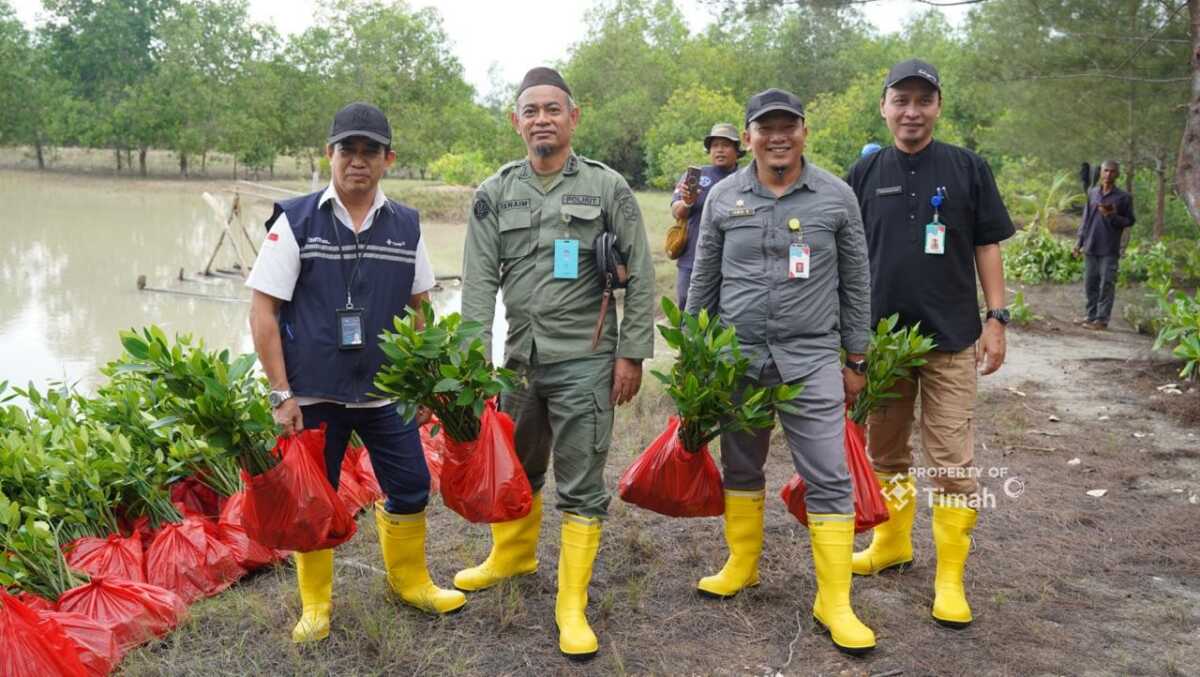 Sepanjang 2025, PT Timah Tbk telah menanam sebanyak 11.000 bibit mangrove di Pulau Kundur (Kabupaten Karimun) dan Kabupaten Kepulauan Meranti.