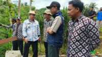 IMG-20260305-WA0033