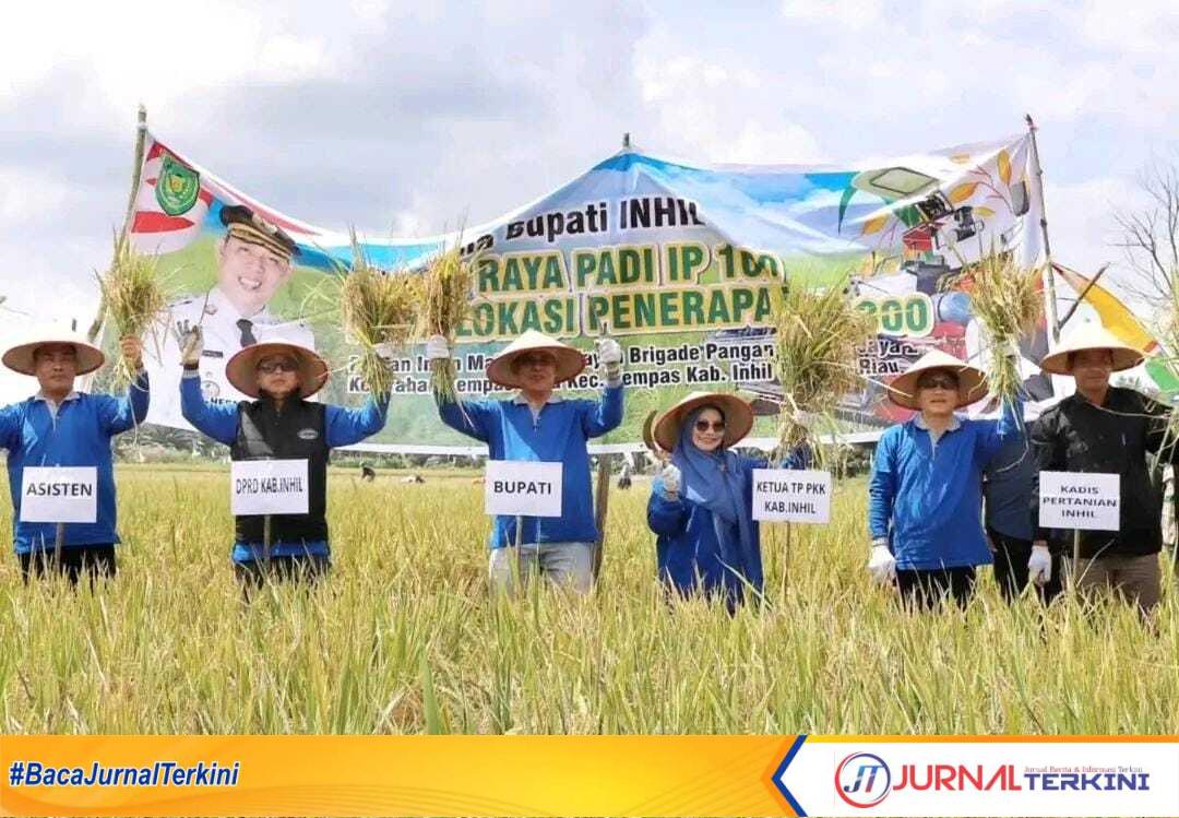 Ket Foto: Bupati Inhil H Herman, menghadiri acara Panen Raya Padi Perdana Tanam IP 300 dan Panen IP 100 di wilayah kerja Brigade Pangan Kempas Jaya II,