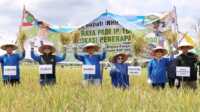 IMG-20260318-WA0001 Ket Foto: Bupati Inhil H Herman, menghadiri acara Panen Raya Padi Perdana Tanam IP 300 dan Panen IP 100 di wilayah kerja Brigade Pangan Kempas Jaya II,