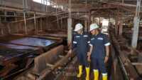 kinerja laba tins pt timah pt timah laba kinerja keuangan positif 2025