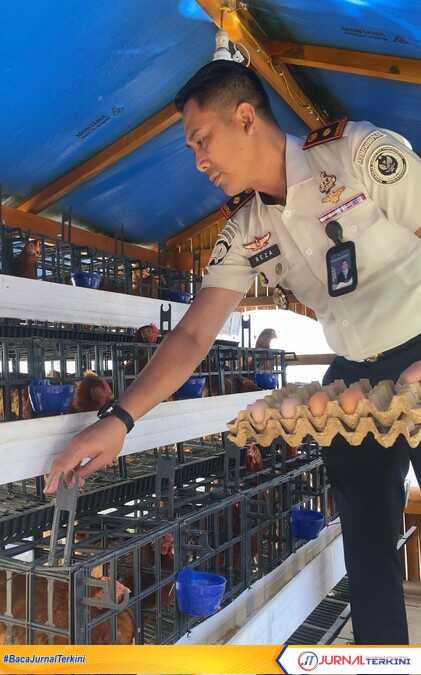 Program pembinaan kemandirian peternakan ayam petelur di Rutan Batusangkar. (Foto Istimewa).