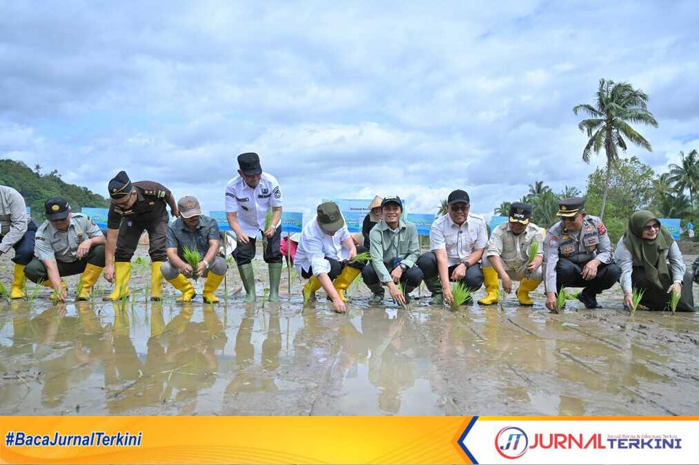 Penanaman padi kembali setelah sawah terkena dampak bencana hidrometeorologi. (Foto Adpim Sumbar).