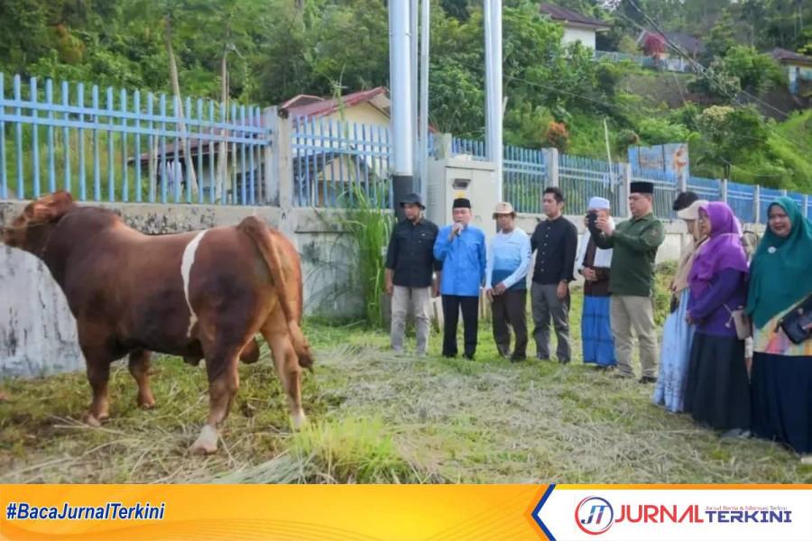 Maigus Nasir Saksikan Penyembelihan Sapi Kurban Bantuan Presiden. (Foto Prokopim Padang).