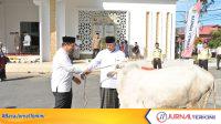IMG-20260527-WA0047 Gubernur Sumbar, Mahyeldi Ansharullah saat menyerahkan hewan kurban kepada masjid Baitul Auliya. (Foto Adpim Sumbar).