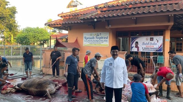 Anggota DPR RI Partai NasDem asal Sumatera Barat, M Shadiq Pasadigoe Gelar penyembelihan hewan kurban. (Foto Tim SP).