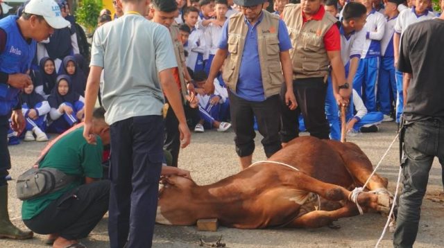 Pelaksanaan kurban di Pesantren Internasional Kauman Padang Panjang. (Foto Dion/Jurnalterkini.id).
