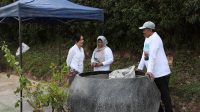 aksi-perusakan-tanaman-bugenvil-bp-batam