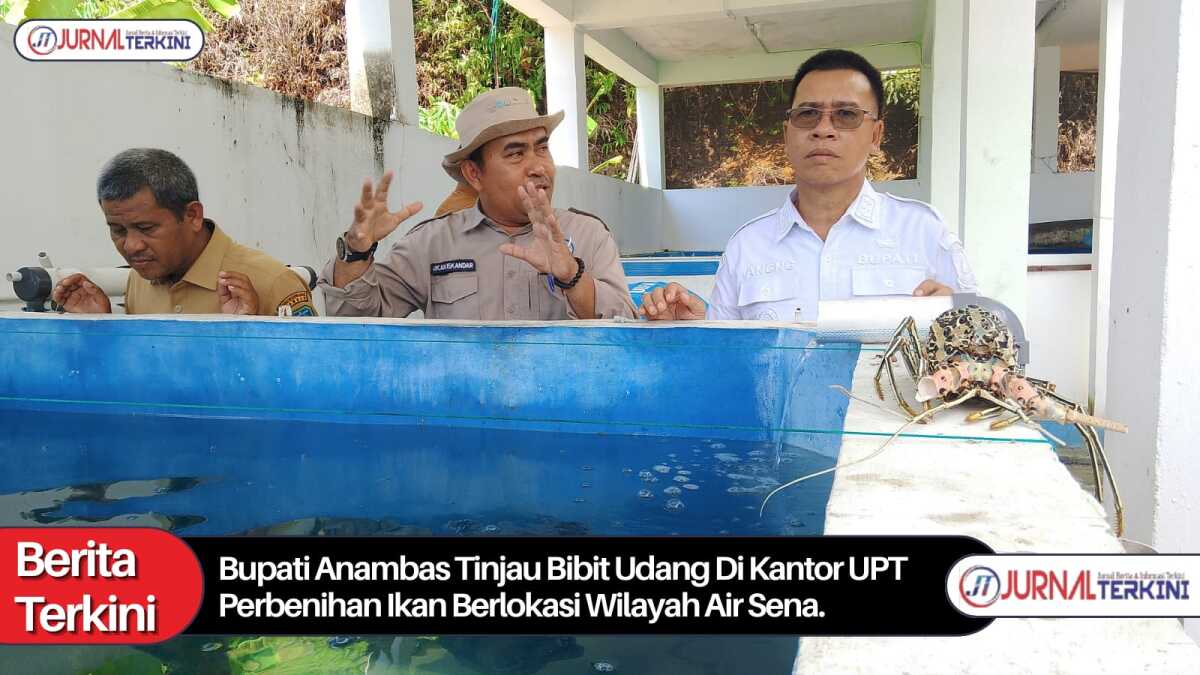bupati Anambas tinjau bibit udang