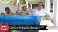 bupati Anambas tinjau bibit udang