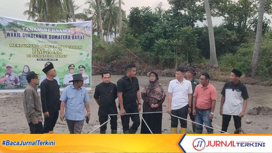 Kegiatan penanaman Perdana PM-AAS di Solok. (Foto Adpim Sumbar).