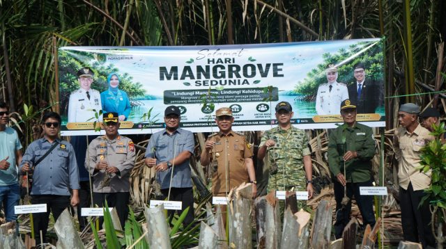 Ket Foto: Bupati Inhil H Herman bersama unsur Forkopimda saat menanam pohon Mangrove