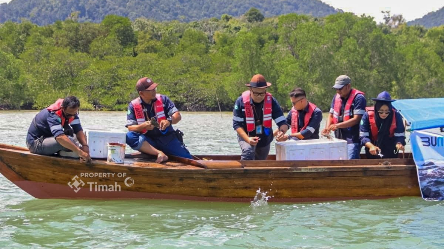 Pt timah tebar kepiting bakau di Kundur Karimun