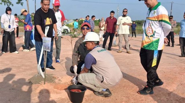 Pelindo karimun menanam pohon di coastal area
