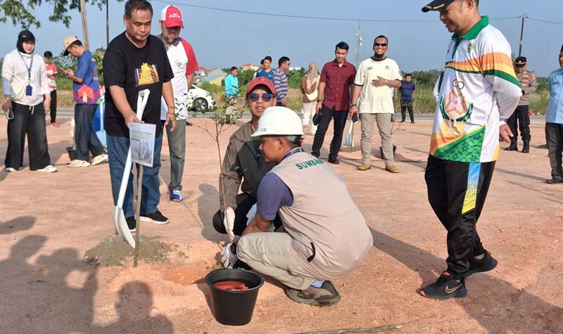 Pelindo karimun menanam pohon di coastal area