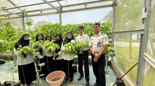 Panen Raya Bayam Hidroponik di Lapas Narkotika Sawahlunto. (Foto Lpkn Sawahlunto).