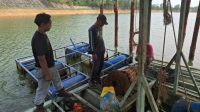 gangguan suplai air Perumda Tirta Mulia Karimun Petugas Perusahaan Umum Daerah (Perumda) Tirta Mulia Karimun mengecek kerusakan dua mesin pompa intake di SPAM Sei Bati, Kamis (17/9/2026). (Humas Perumda Tirta Mulia Karimun)