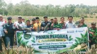 Kelompok Tani Bina Tani Tailong binaan PT Timah di Desa Kundur, Kecamatan Kundur Barat, Kabupaten Karimun, Kepulauan Riau, mencatatkan keberhasilan panen perdana nanas sebanyak 5.000 batang pada Senin (21/9/2026). (Timah)