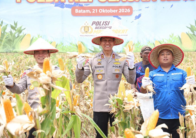 Polda Kepulauan Riau (Kepri) terus memperkuat komitmennya dalam mendukung ketahanan pangan nasional melalui kegiatan Panen Raya Jagung Pipil Kuartal III Tahun 2026 yang dipimpin langsung oleh Kapolda Kepri, Irjen Pol Suhendri, di Kelurahan Sijantung, Kecamatan Galang, Kota Batam, Rabu (21/10/2026). (foto: humaspoldakepri)
