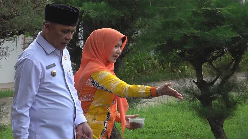 Bupati Inhil Instruksikan Gerakan Menanam Pekarangan