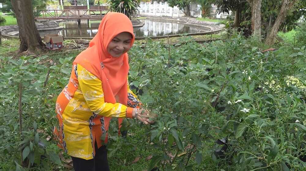 Bupati Inhil Instruksikan Gerakan Menanam Pekarangan