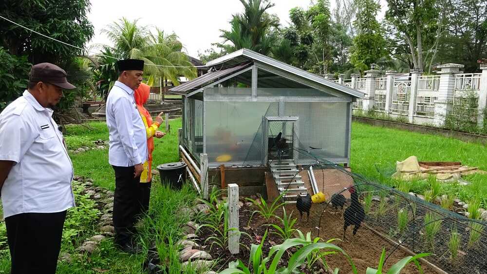 Bupati Inhil Instruksikan Gerakan Menanam Pekarangan