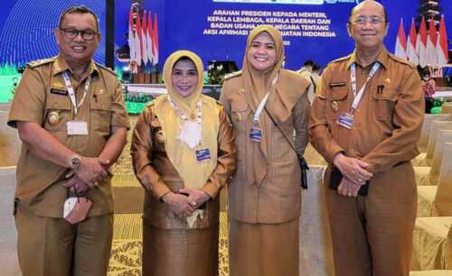 afirmasi bangga buatan indonesia1