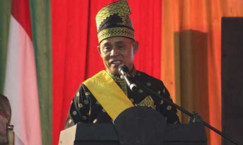 gelar adat bupati Inhil 4