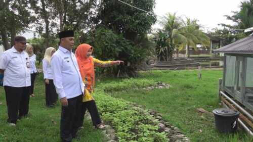 Bupati Inhil Instruksikan Gerakan Menanam Pekarangan