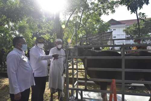 Peninjauan Ibadah Kurban, Bupati Pastikan Patuhi Prokes