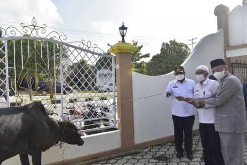Peninjauan Ibadah Kurban, Bupati Pastikan Patuhi Prokes